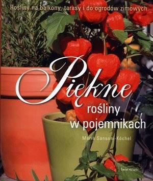 Piękne rosliny w pojemnikach 