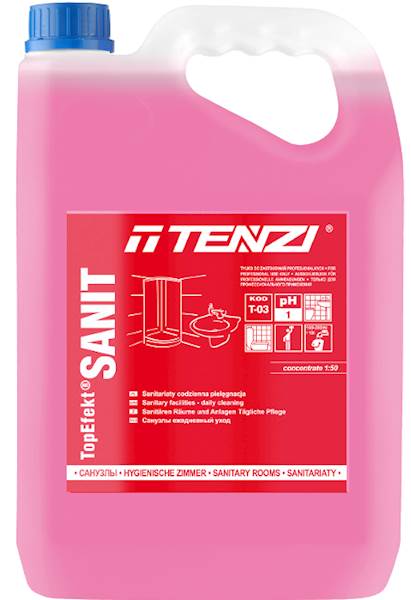 TENZI TopEfect SANIT 5L kamień i rdza T-03