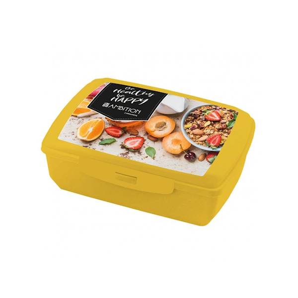POJEMNIK na kanapki LUNCH BOX plastikowy 13x20x7,5