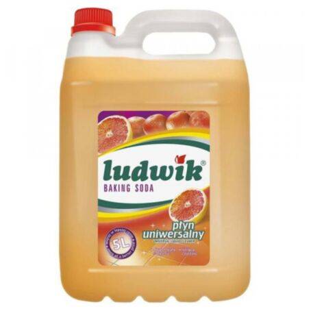 LUDWIK uniwersalny 5L BAKING SODA