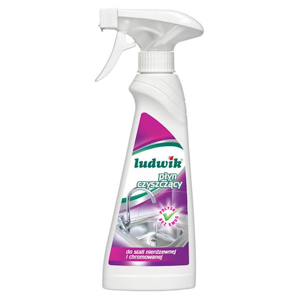 LUDWIK płyn do STALI NIERDZEWNEJ 250ml /8/