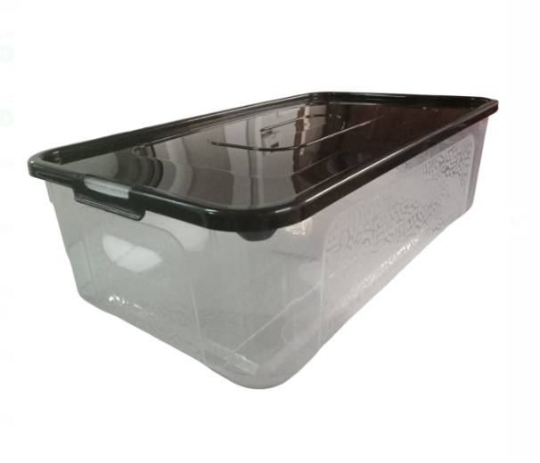 POJEMNIK ALL BOX 5L z/p 34x20x10cm Domotti 229559