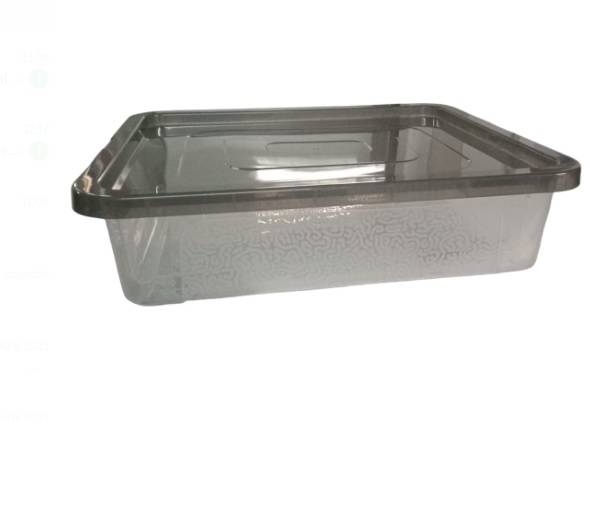 POJEMNIK ALL BOX 10L z/p 40x33x10cm Domotti 229562