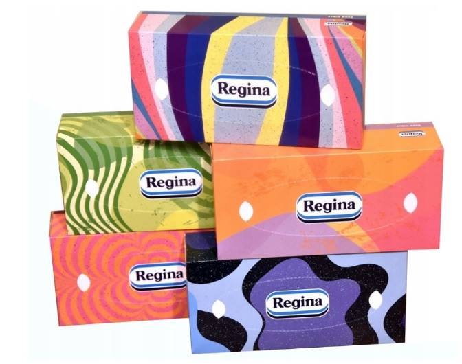 CHUSTECZKI higieniczne 100szt 3w.REGINA VIBES /18/
