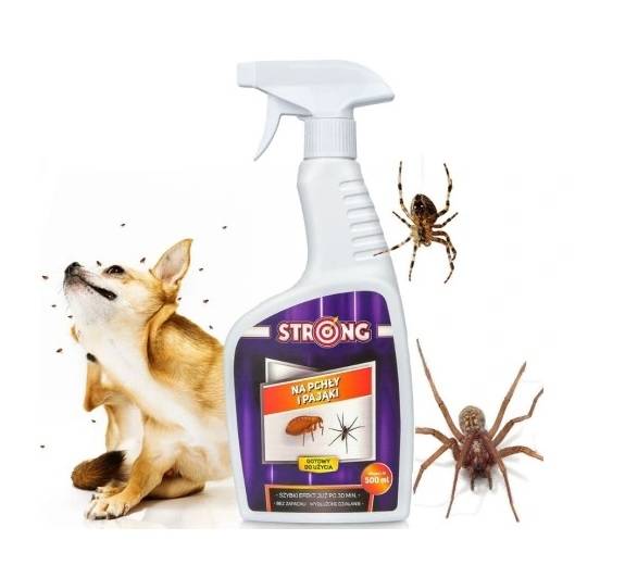 STRONG PCHŁY i PAJĄKI preparat spray 500ml 3131