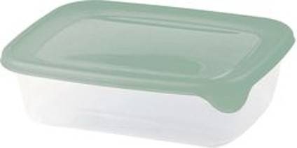 POJEMNIK do żywności  0,45L FreshGo CURVER 00558