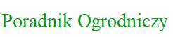 Oferta do pobrania