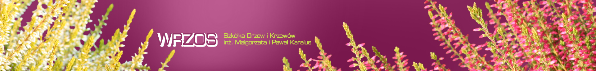 Szkółka Drzew i Krzewów Wrzos