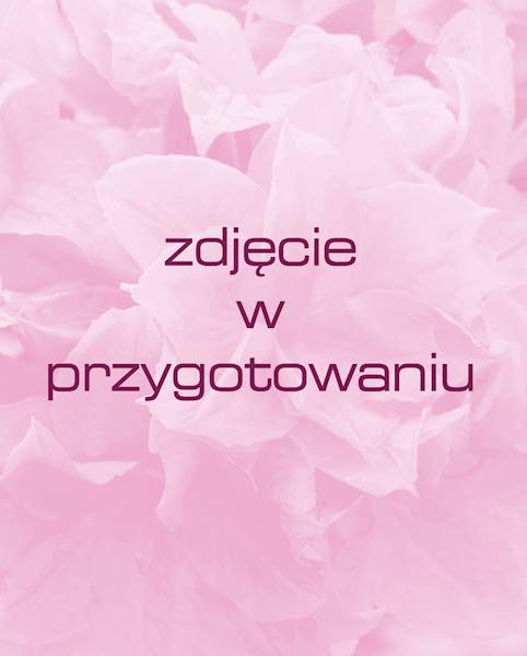 Azalia japońska Bab
