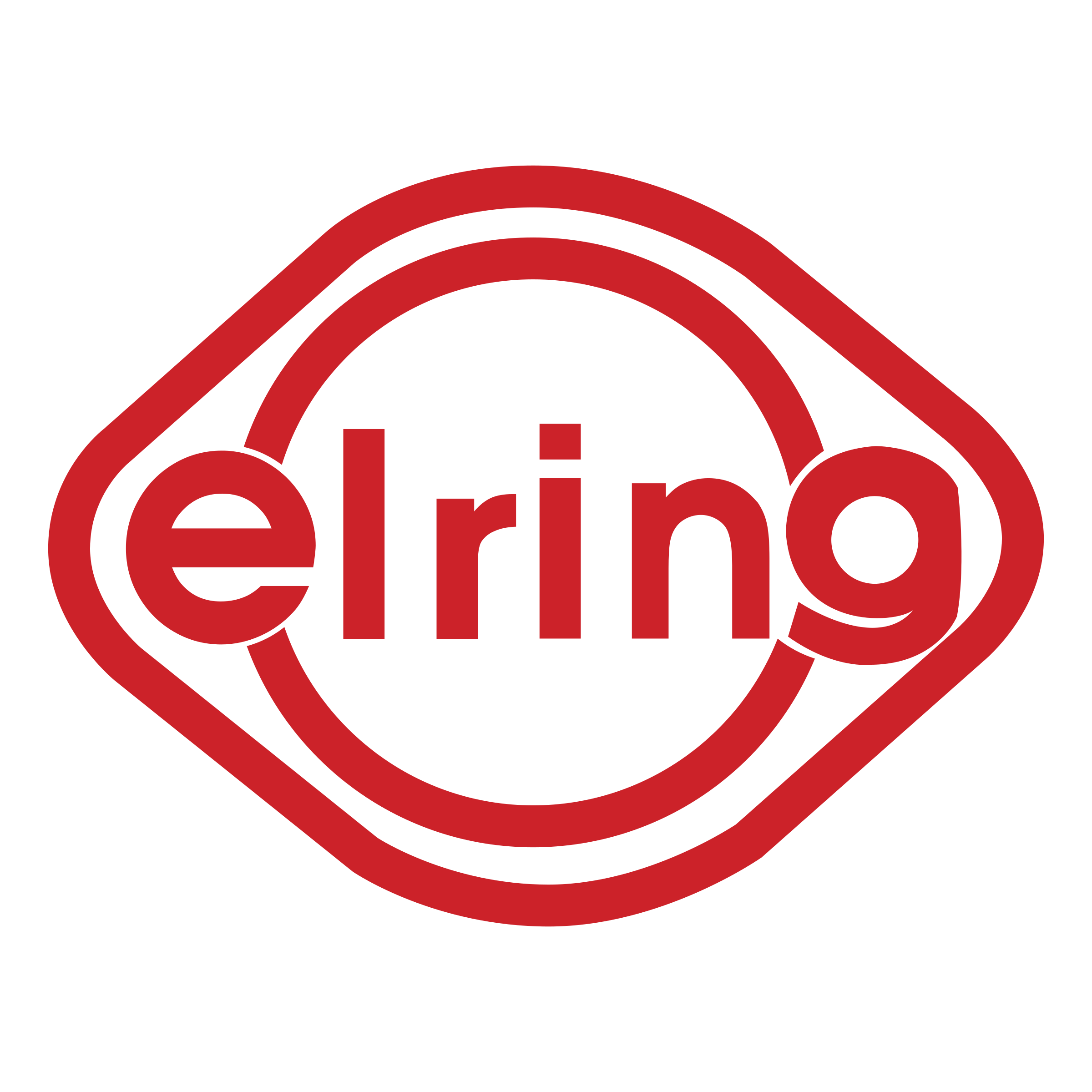 elring-logo-png-transparent.png