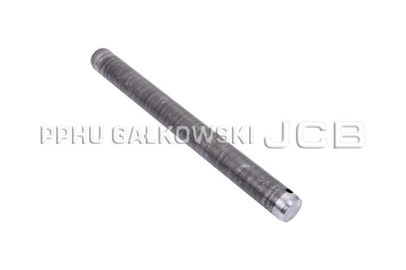 JC 1021/2077 - SWORZEŃ WIESZAKA