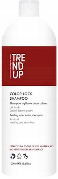 Trend UP Szampon Color LOCK kwaśne PH 1000ml