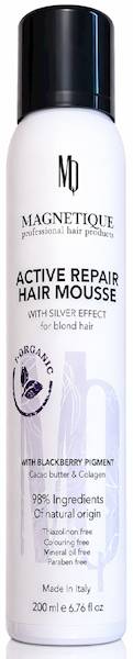 MAGNETIQUE Active Repair with Silver Effect 200ml