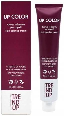 UP Color farba 100ml VIOLET