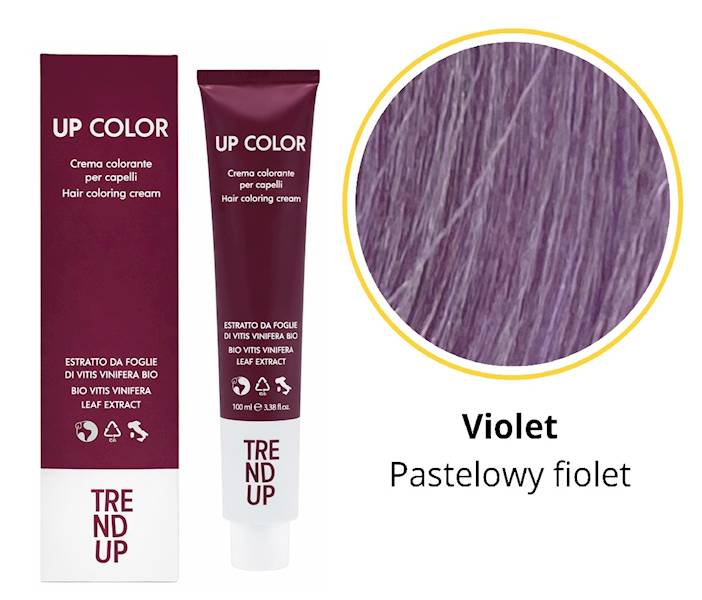 UP Color farba 100ml VIOLET