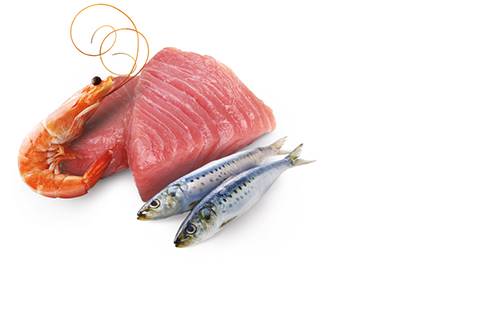 N&D CAT OCEAN TUNA, SARDINE & SHRIM ADULT 70gr