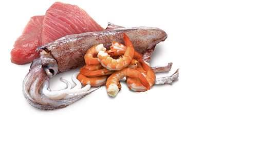 N&D CAT OCEAN TUNA, SQUID & SHRIMP ADULT 70gr