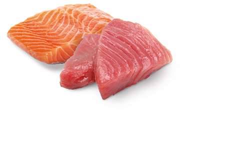 N&D CAT OCEAN TUNA, SALMON ADULT 70gr