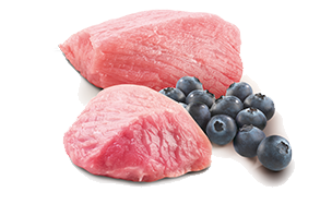 N&D PRIME CAT LAMB AND BLUEBERRY ADULT 70gr