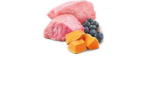 N&D PRIME CAT LAMB, PUMPKIN & BLUEBERR ADULT 70gr