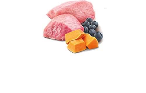 N&D PRIME CAT LAMB, PUMPKIN & BLUEBERR ADULT 70gr