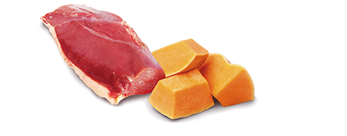 N&D PRIME CAT VENISON & PUMPKIN ADULT 70gr