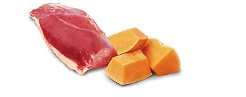 N&D PRIME CAT VENISON & PUMPKIN ADULT 70gr