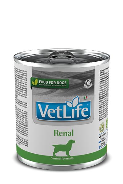 Farmina Vet Life Renal 300gr