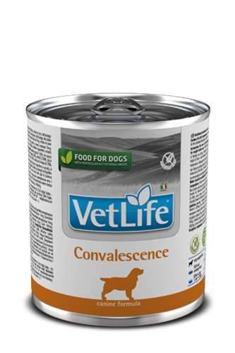 Farmina Vet Life Dog Convalescence 300gr