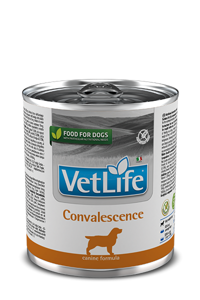 Farmina Vet Life Dog Convalescence 300gr