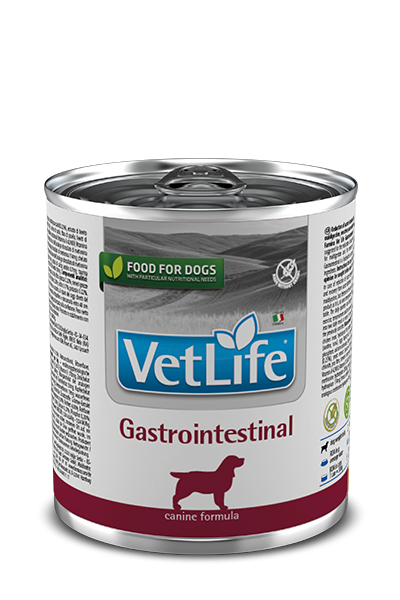 Farmina Vet Life Dog Gastrointestinal 300gr