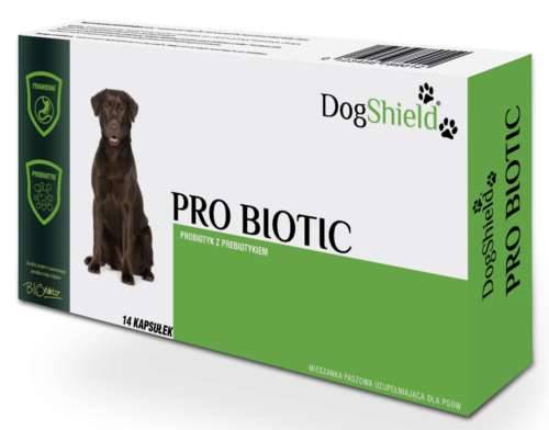 Dogshield Pro Probiotic 21 kaps.