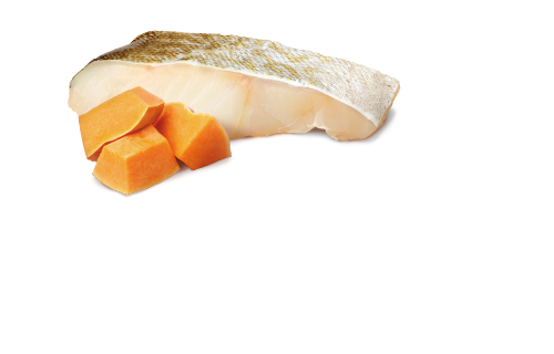 N&D Ocean Dog Cod&Pumpkin Puppy 285 gr