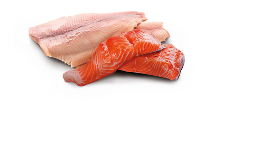 N&D Ocean Dog Trouth&Salmon Adult 285 gr