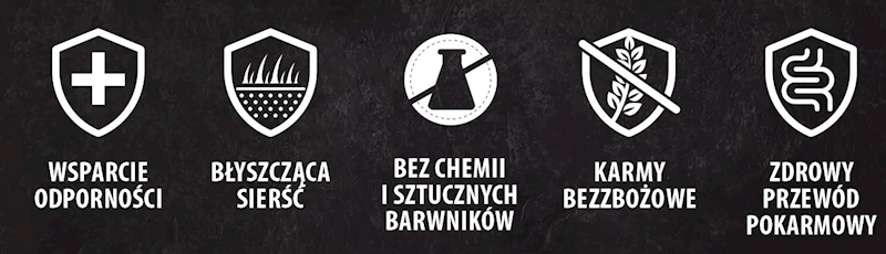 BULT z łososiem i pstrągiem dla dorosłych psów 3kg