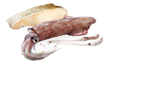 N&D Ocean Dog Cod&Squid Adult 285 gr