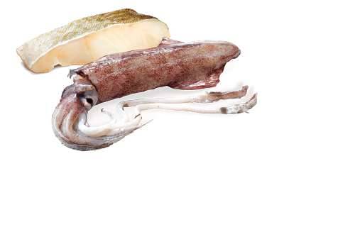 N&D Ocean Dog Cod&Squid Adult 285 gr
