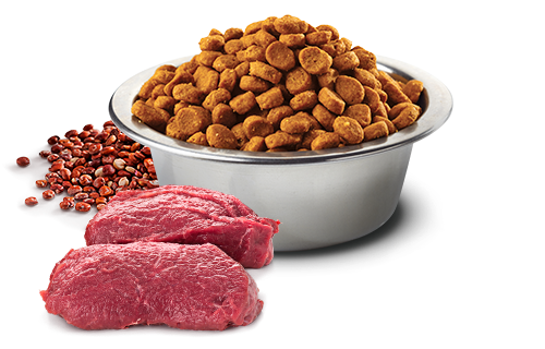 N&D Dog Quinoa Skin & Coat Venision mini 800 gr