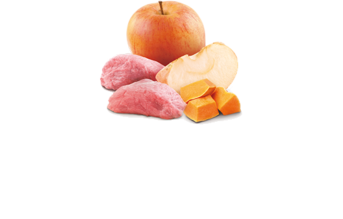 N&D Dog Board&Pumpkin&Apple mini 140gr