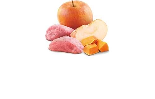 N&D Dog Board&Pumpkin&Apple mini 140gr