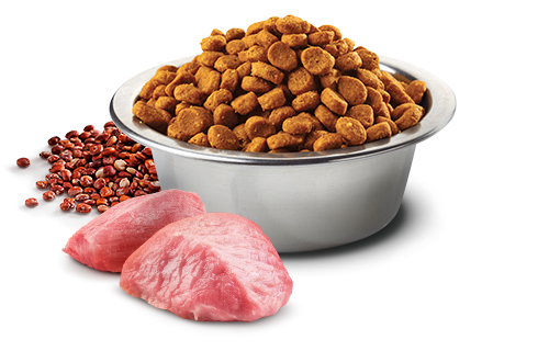 N&D Dog Quinoa digestion lamb&fennel ad mini 800gr