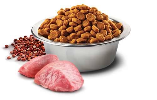 N&D Dog Quinoa digestion lamb&fennel ad mini 800gr