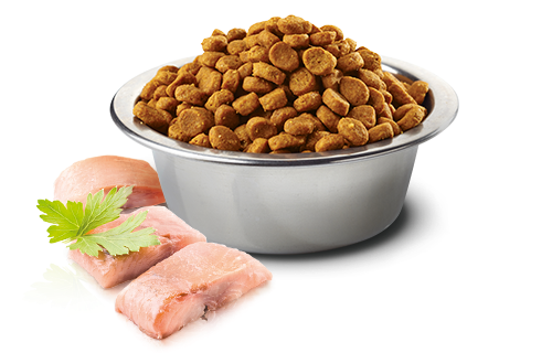 N&D Ocean Dog Herring&Orange Adult mini 800 gr