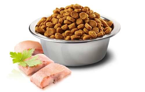 N&D Ocean Dog Herring&Orange Adult mini 800 gr
