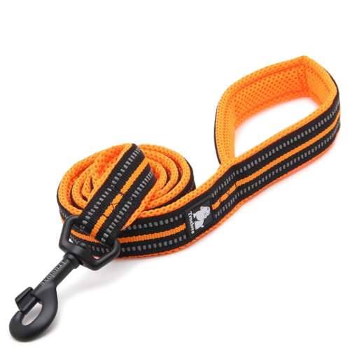 Smycz dla psa Truelove Active L 200 cm  pomarańcz