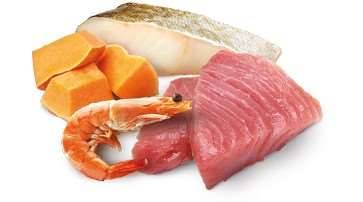 N&D CAT OCEAN TUNA,COD,SHRIMP & PUMPKIN ADULT 70gr