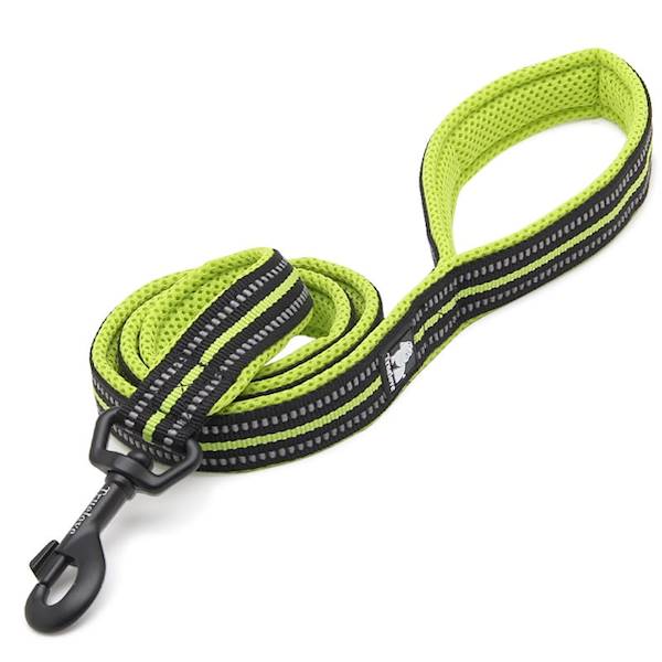 Smycz dla psa Truelove Active L 200 cm  limonka
