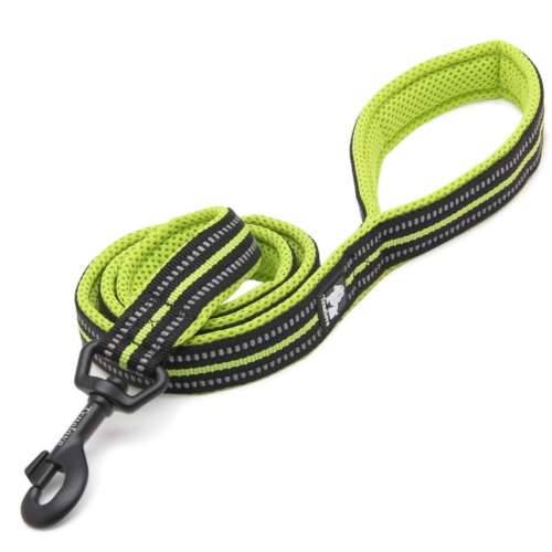 Smycz dla psa Truelove Active L 200 cm  limonka