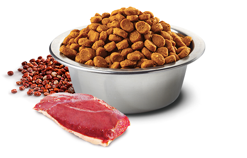 N&D Cat kaczka,quinoa brokuły Neutered 300 gr
