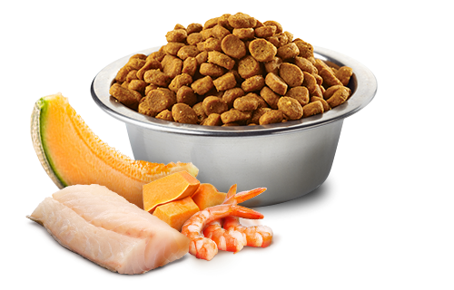 N&D Ocean Kitten cod,shrimp,pumpkin&cantalup 1,5kg